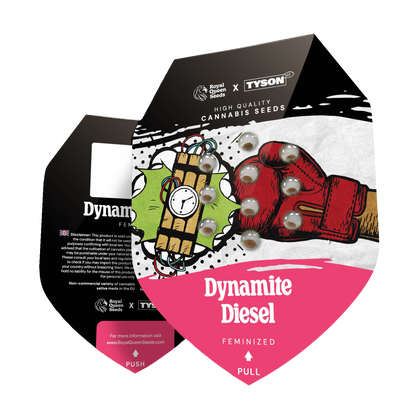 Royal Queen Seeds - Dynamite Diesel, 3 Samen