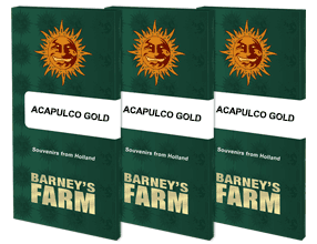 Barney´s Farm Seeds - Acapulco Gold, 3 Samen