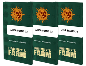 Barney´s Farm Seeds - Dos Si Dos 33, 3 Samen