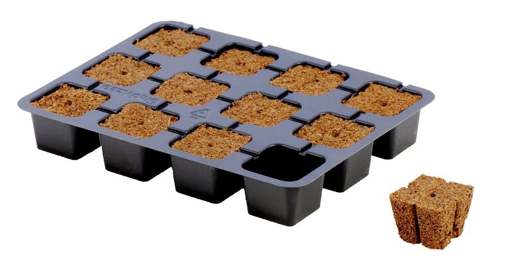 Easyplug CT 12 (pro Tray)