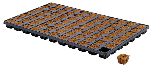 Eazyplug CT 77 (1 Tray)