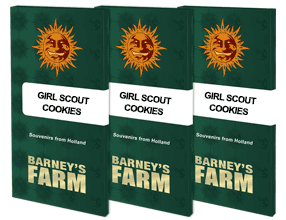 Barney´s Farm Seeds - Girl Scout Cookies, 3 Samen