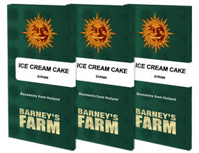 Barney´s Farm Seeds - Ice Cream Cake, 3 Samen